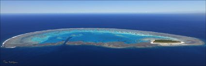 Lady Musgrave Island - QLD (PBH4 00 18351)